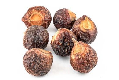 Sapindus mukorossi - Waschnuss