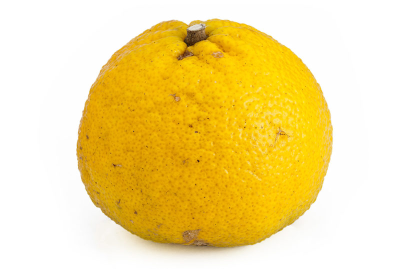 Ugli - Citrus hybrid
